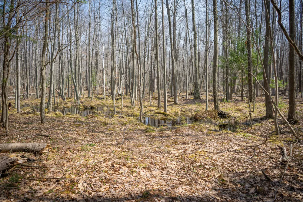 4986 Ridge Road Mears, MI 49436