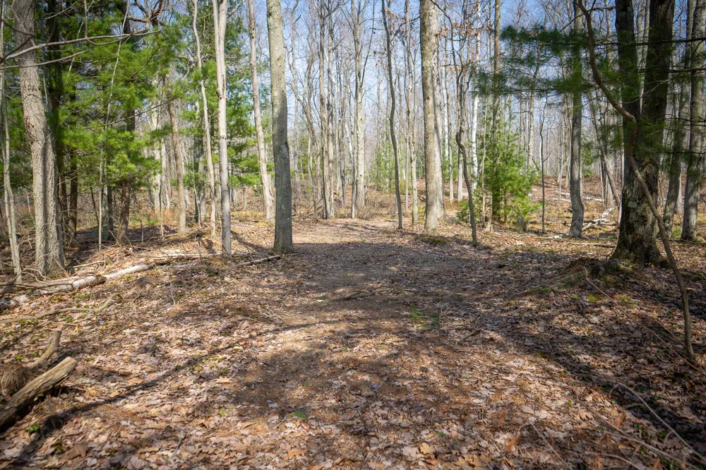 4986 Ridge Road Mears, MI 49436