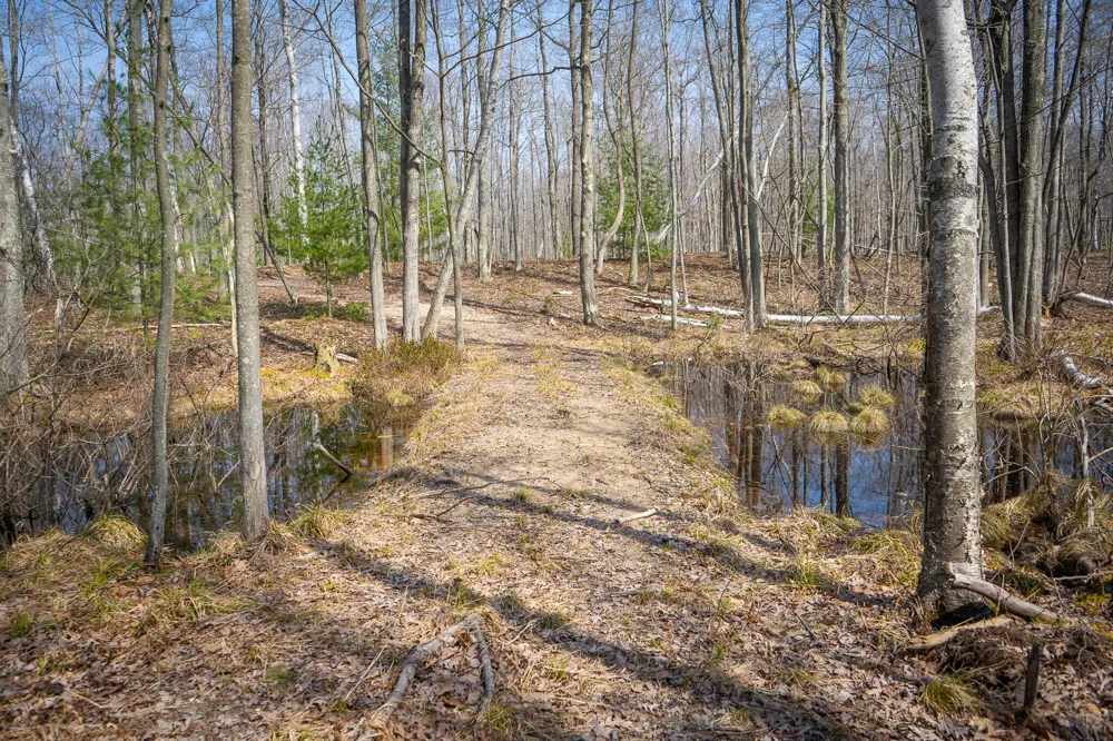 4986 Ridge Road Mears, MI 49436