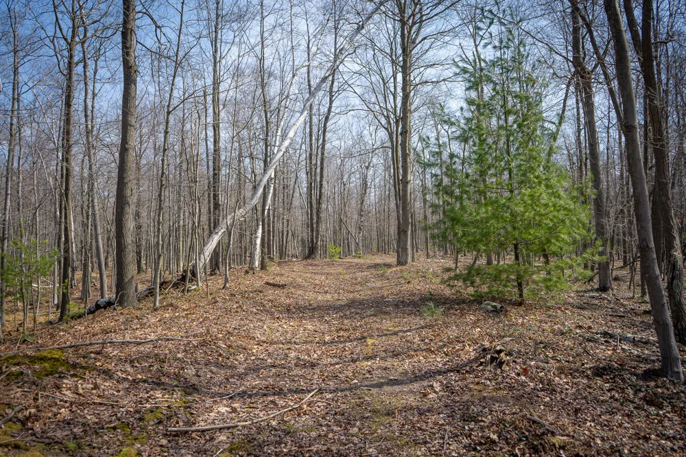 4986 Ridge Road Mears, MI 49436