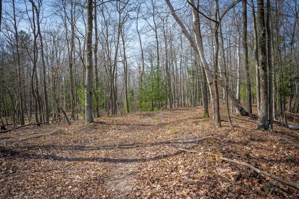 4986 Ridge Road Mears, MI 49436