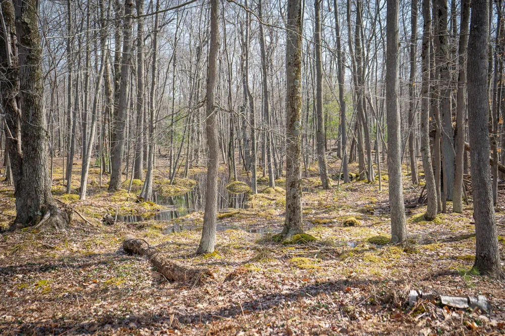 4986 Ridge Road Mears, MI 49436