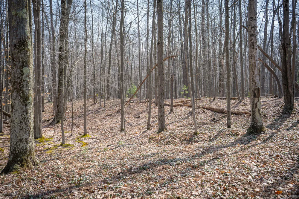 4986 Ridge Road Mears, MI 49436