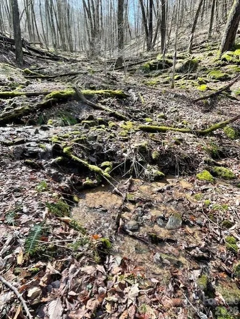 106 Avalon Gap Trail Waynesville, NC 28785
