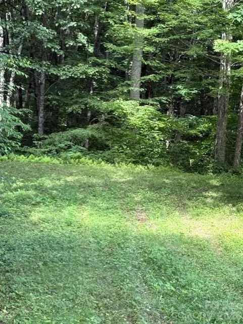 106 Avalon Gap Trail Waynesville, NC 28785