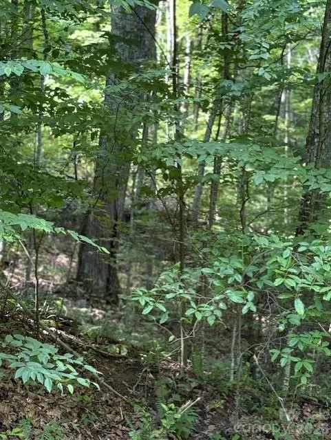106 Avalon Gap Trail Waynesville, NC 28785