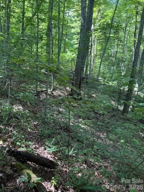 106 Avalon Gap Trail Waynesville, NC 28785
