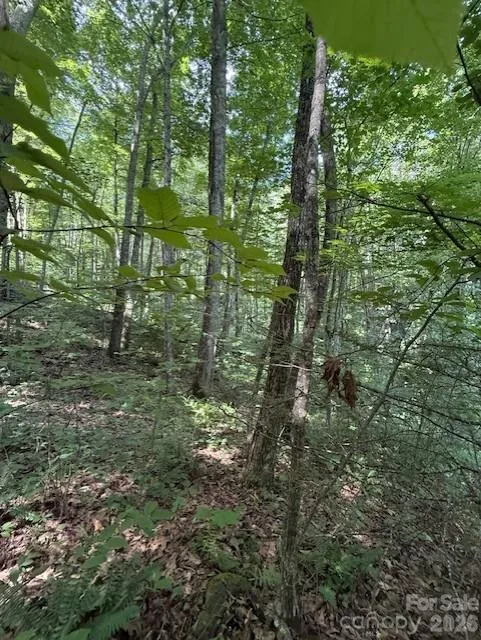 106 Avalon Gap Trail Waynesville, NC 28785