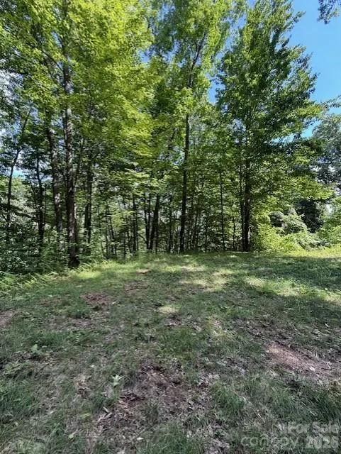 106 Avalon Gap Trail Waynesville, NC 28785