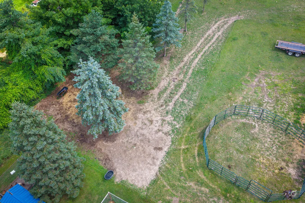 8565 S Cornwell Avenue Clare, MI 48617