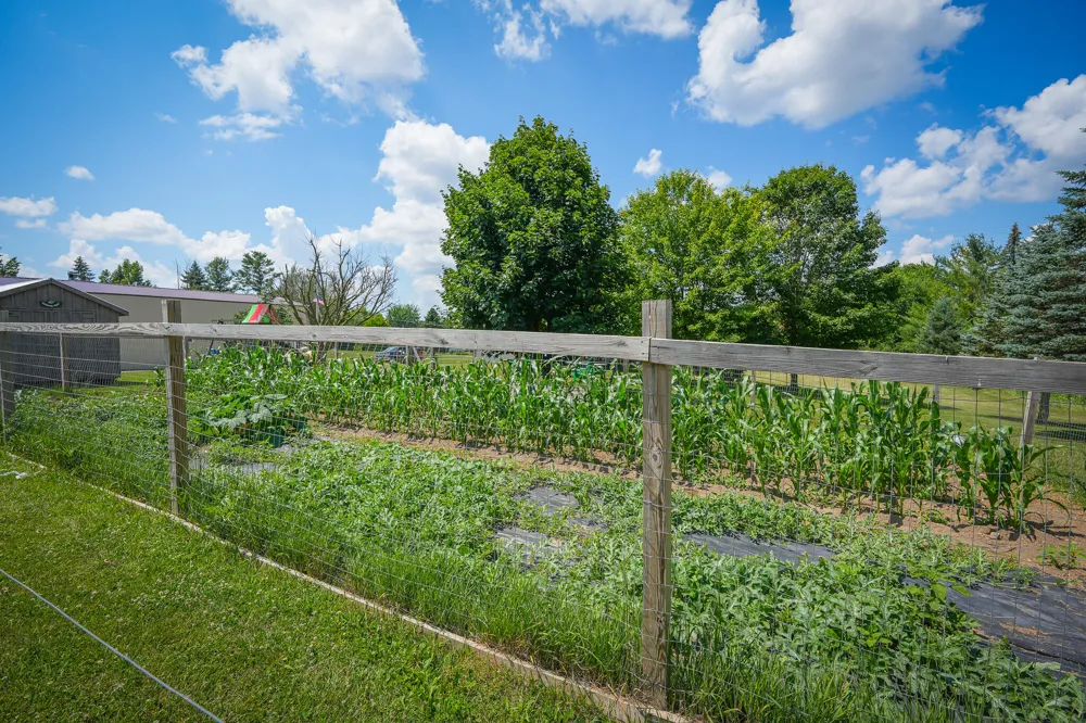 8565 S Cornwell Avenue Clare, MI 48617
