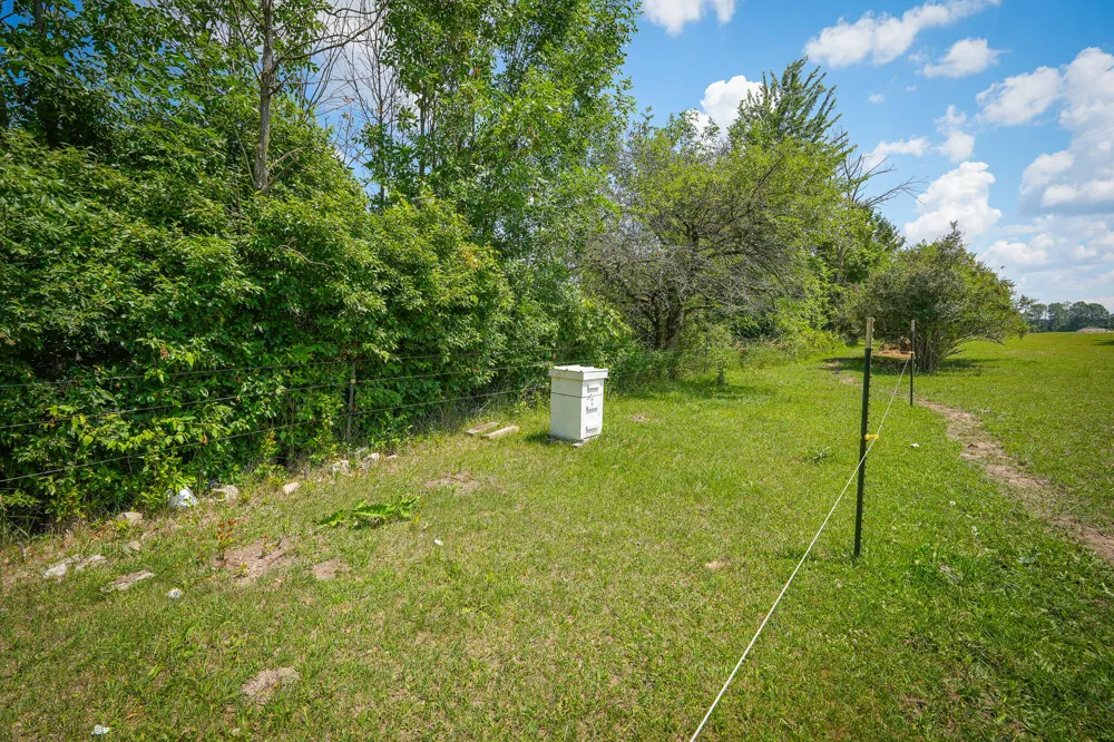 8565 S Cornwell Avenue Clare, MI 48617