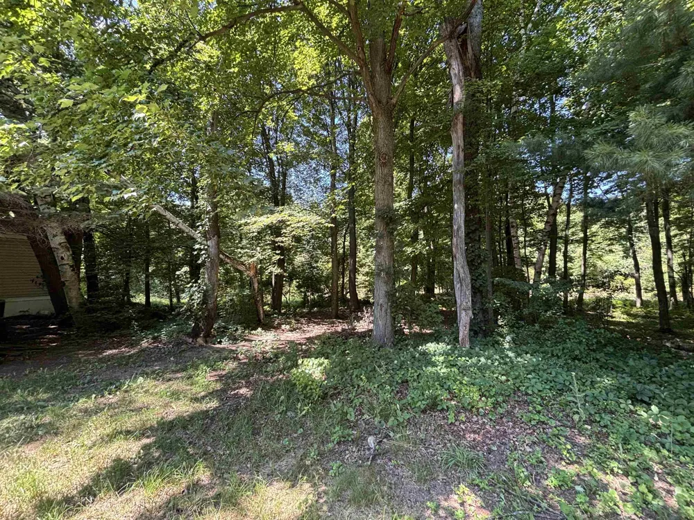 2237 RANAE STREET Croswell City, MI 48422