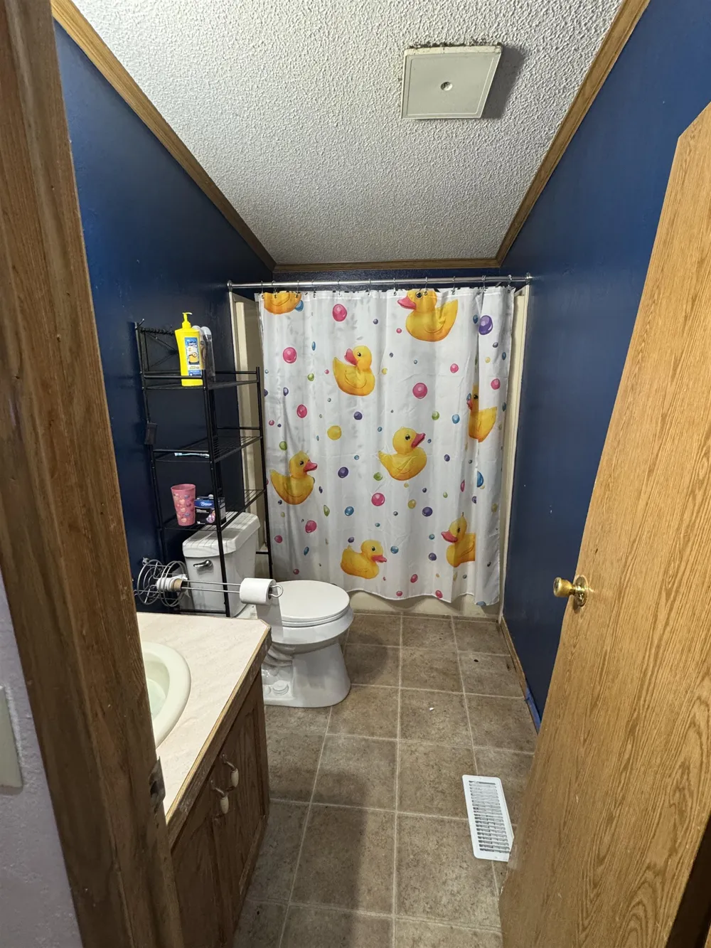 2237 RANAE STREET Croswell City, MI 48422