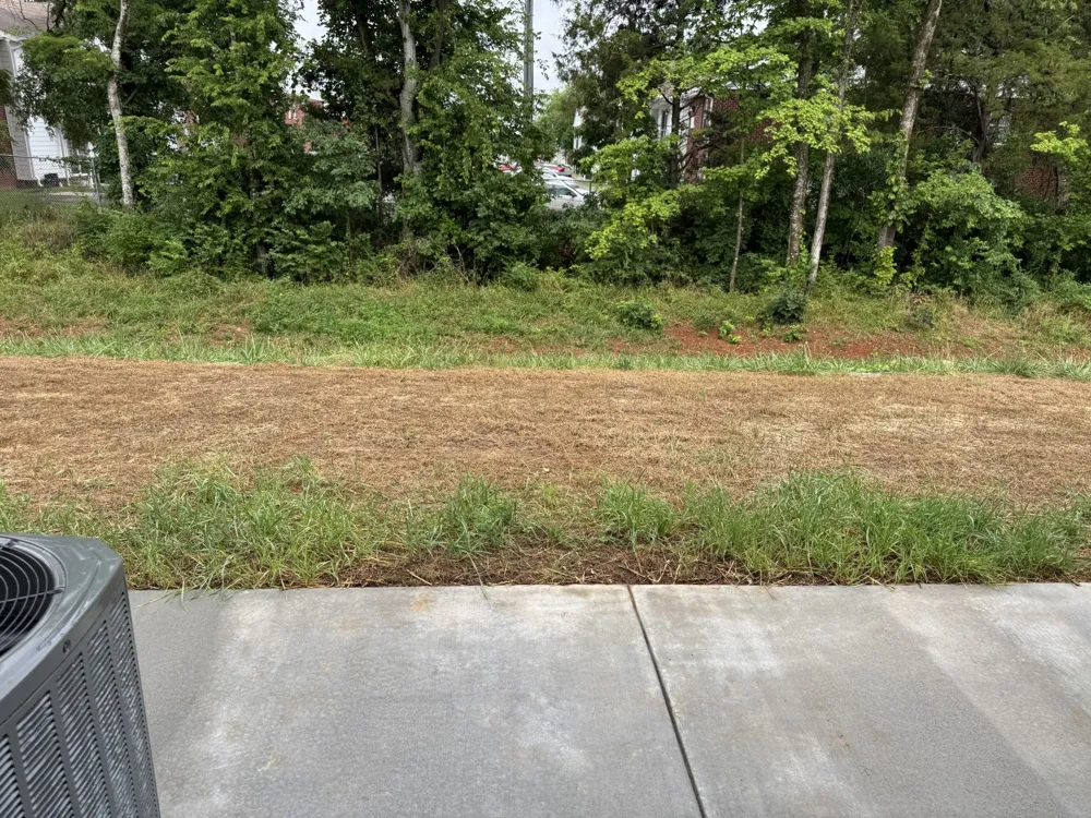 213 Mountaindale Dr Smyrna, TN 37167