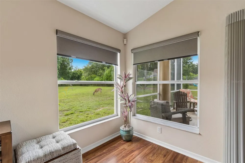 20942 SUNSWEET COURT Land O Lakes, FL 34637