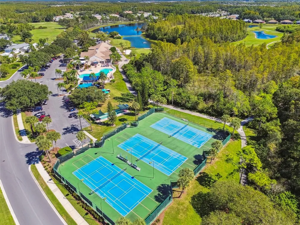 20942 SUNSWEET COURT Land O Lakes, FL 34637
