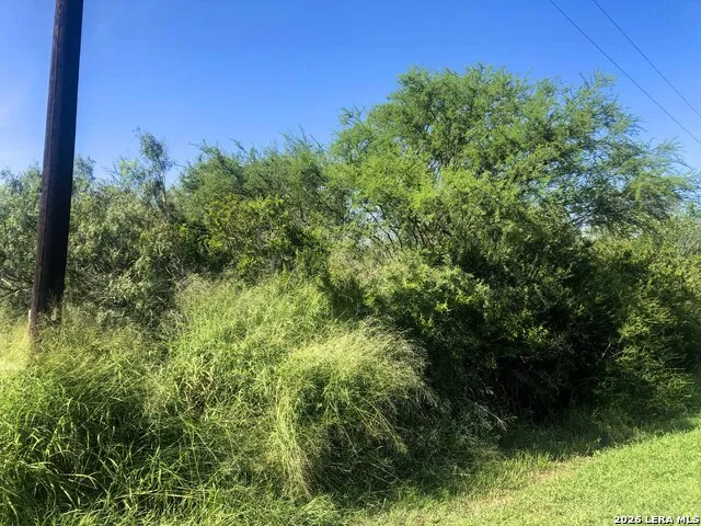 000 cr 619 Skidmore, TX 78389