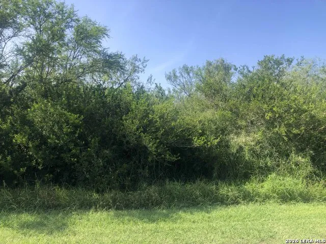 000 cr 619 Skidmore, TX 78389