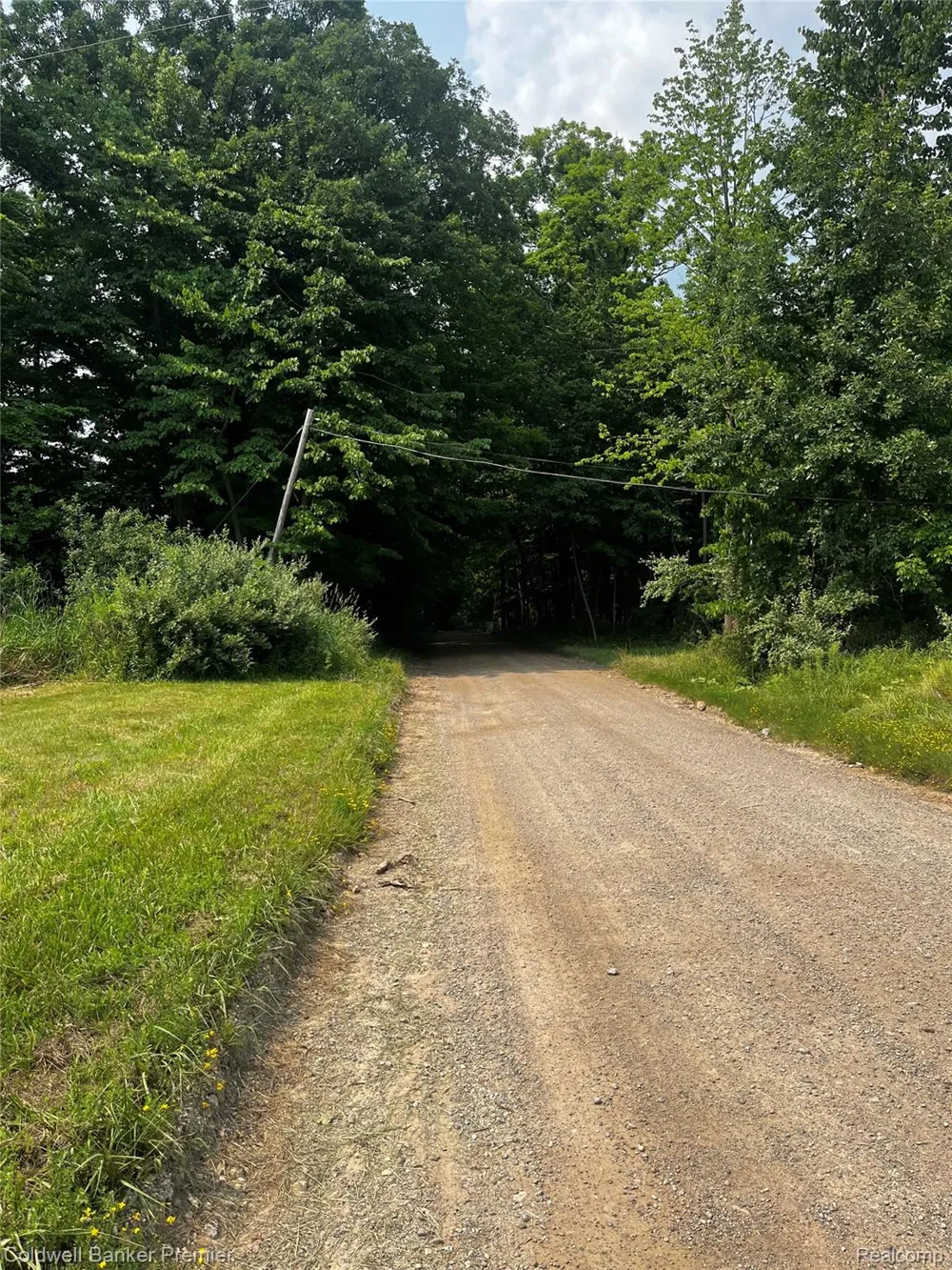 3975 Hagerman Road Addison Township, MI 48367