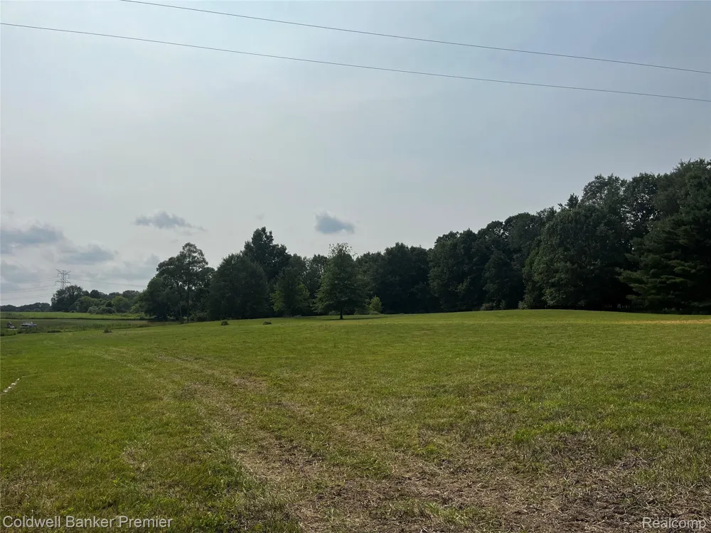 3975 Hagerman Road Addison Township, MI 48367