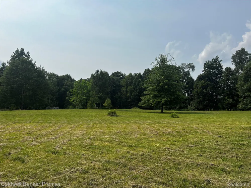 3975 Hagerman Road Addison Township, MI 48367