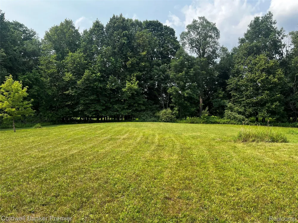 3975 Hagerman Road Addison Township, MI 48367