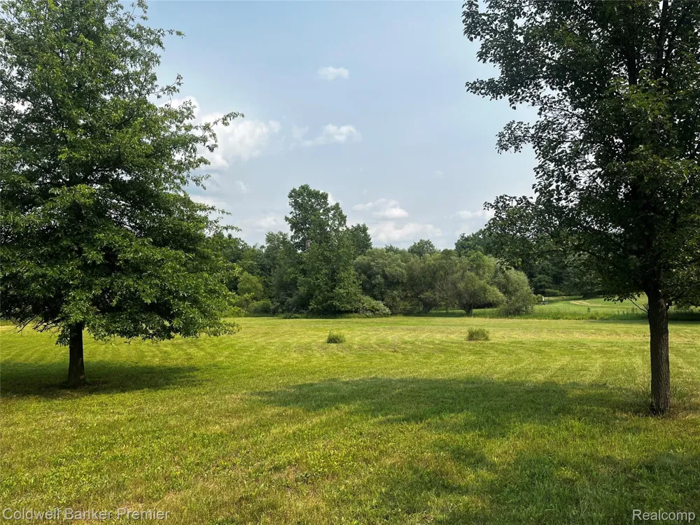 3975 Hagerman Road Addison Township, MI 48367