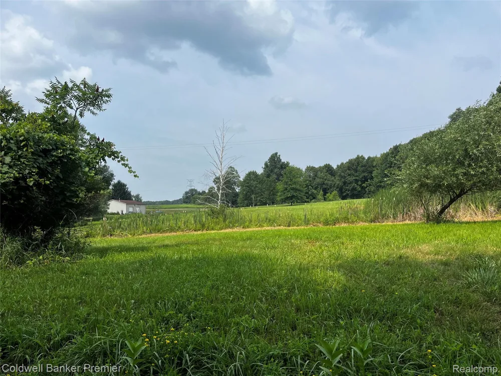 3975 Hagerman Road Addison Township, MI 48367
