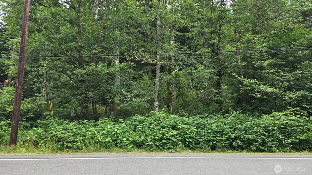 33317 SE Kent Kangley Road Ravensdale, WA 98051