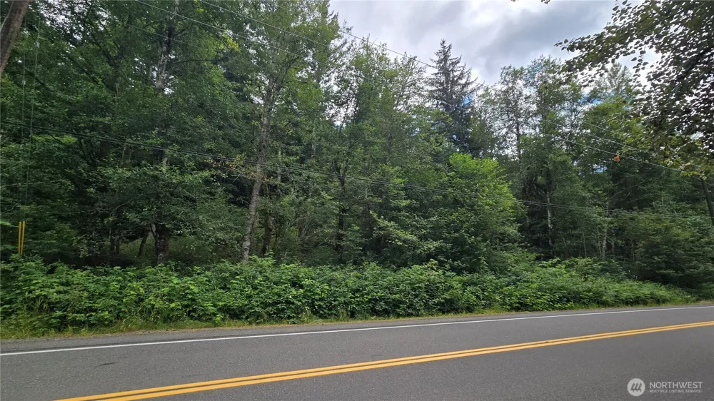 33317 SE Kent Kangley Road Ravensdale, WA 98051