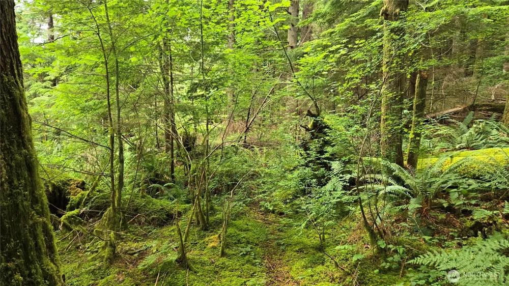 33317 SE Kent Kangley Road Ravensdale, WA 98051