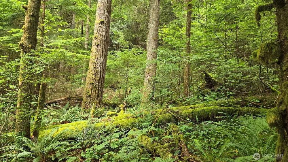 33317 SE Kent Kangley Road Ravensdale, WA 98051