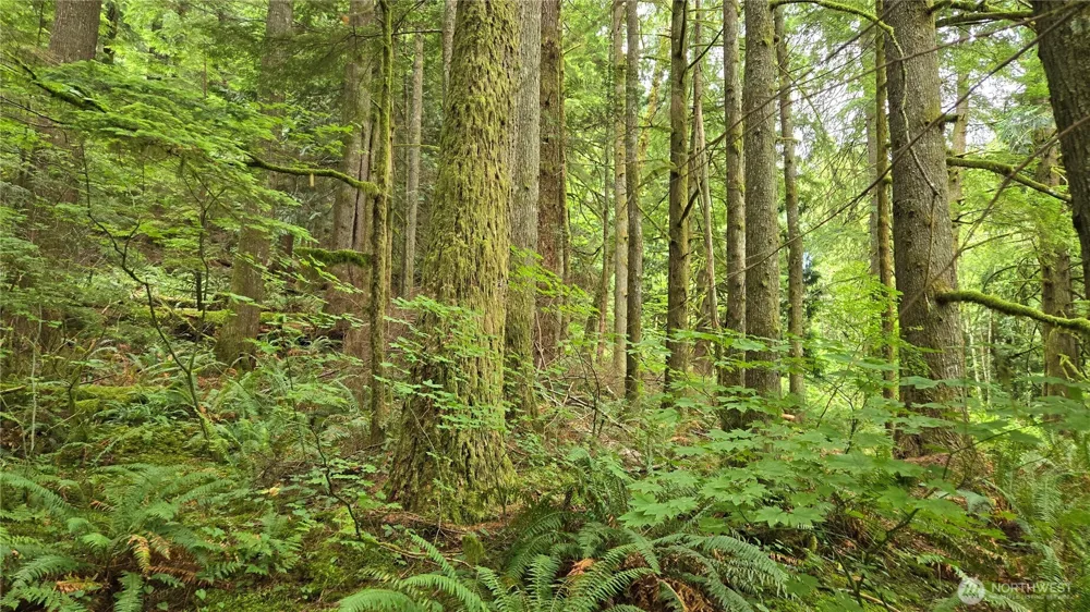 33317 SE Kent Kangley Road Ravensdale, WA 98051