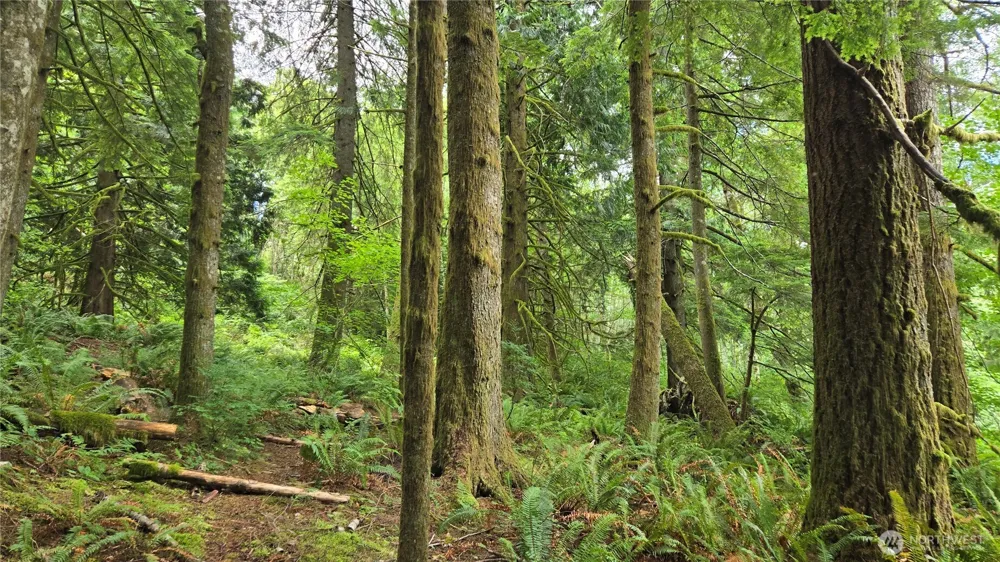 33317 SE Kent Kangley Road Ravensdale, WA 98051