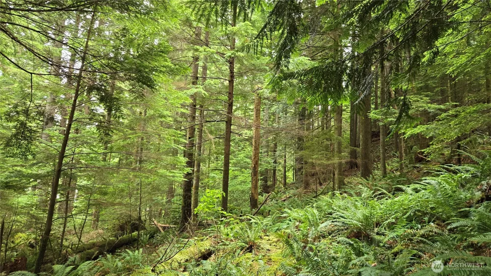33317 SE Kent Kangley Road Ravensdale, WA 98051