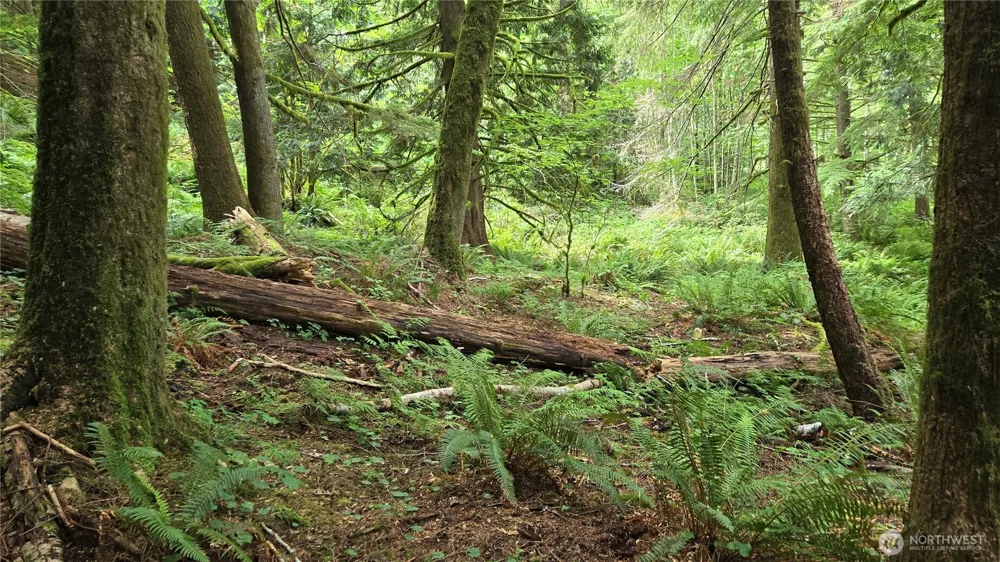 33317 SE Kent Kangley Road Ravensdale, WA 98051