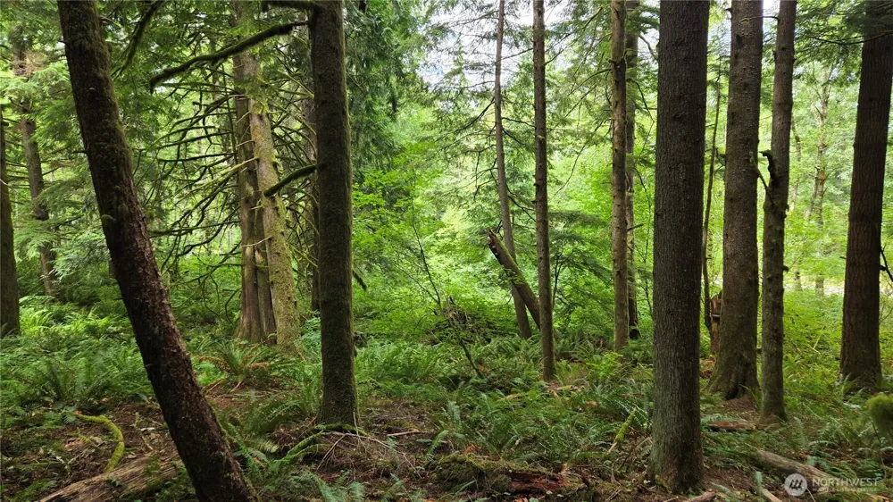33317 SE Kent Kangley Road Ravensdale, WA 98051