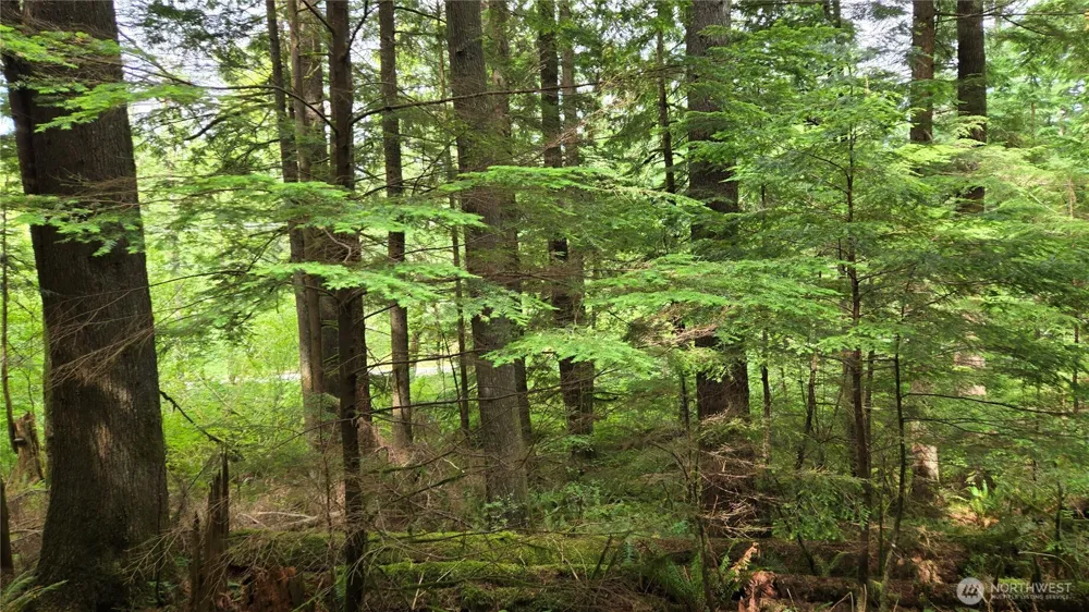 33317 SE Kent Kangley Road Ravensdale, WA 98051