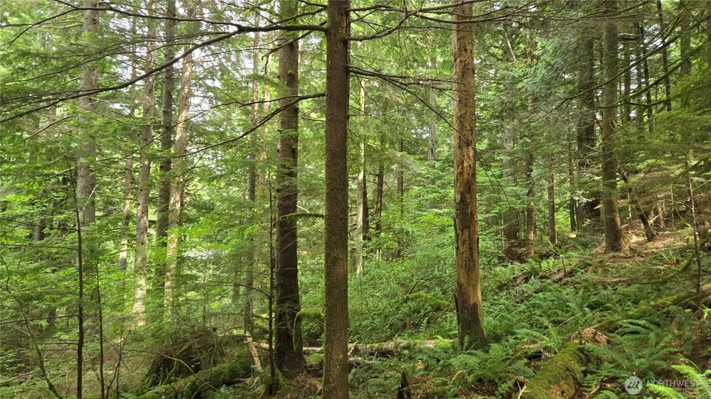 33317 SE Kent Kangley Road Ravensdale, WA 98051
