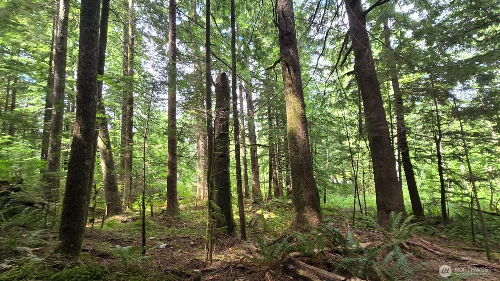 33317 SE Kent Kangley Road Ravensdale, WA 98051
