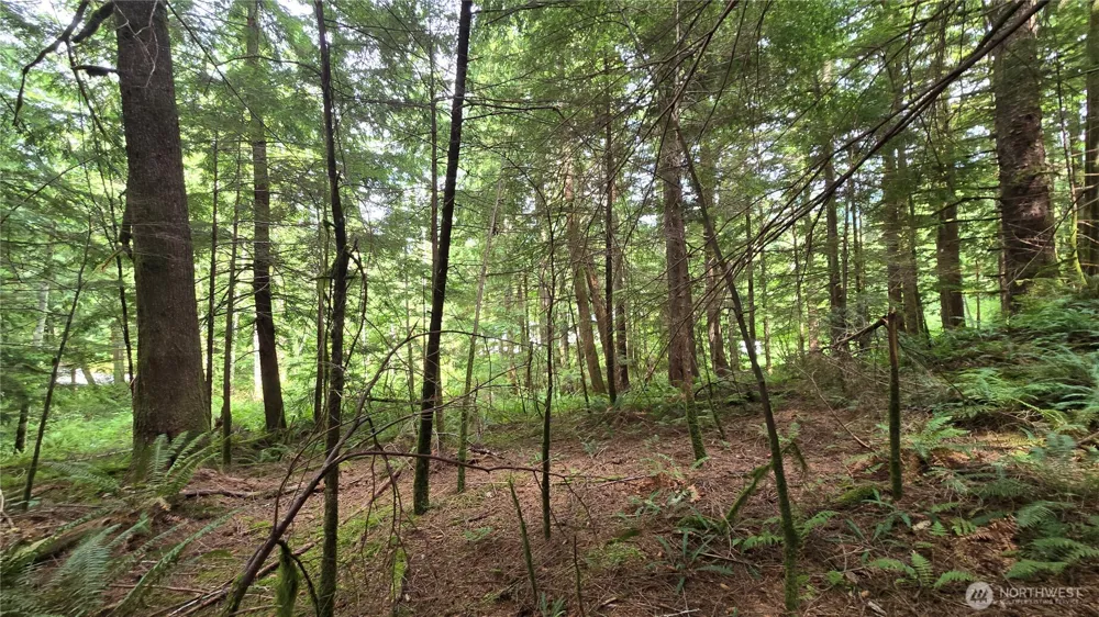 33317 SE Kent Kangley Road Ravensdale, WA 98051