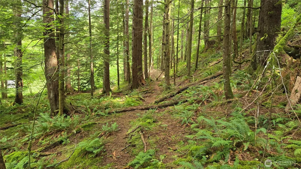 33317 SE Kent Kangley Road Ravensdale, WA 98051