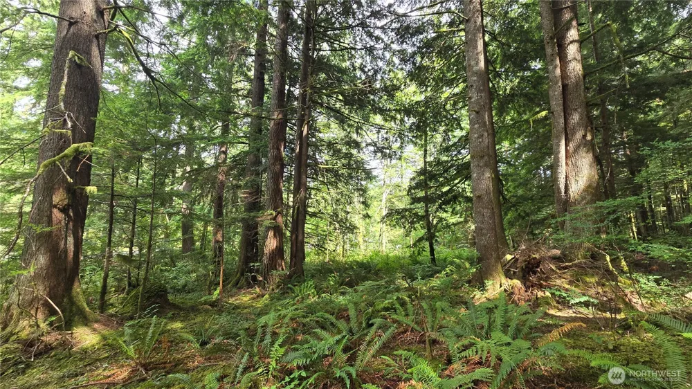 33317 SE Kent Kangley Road Ravensdale, WA 98051
