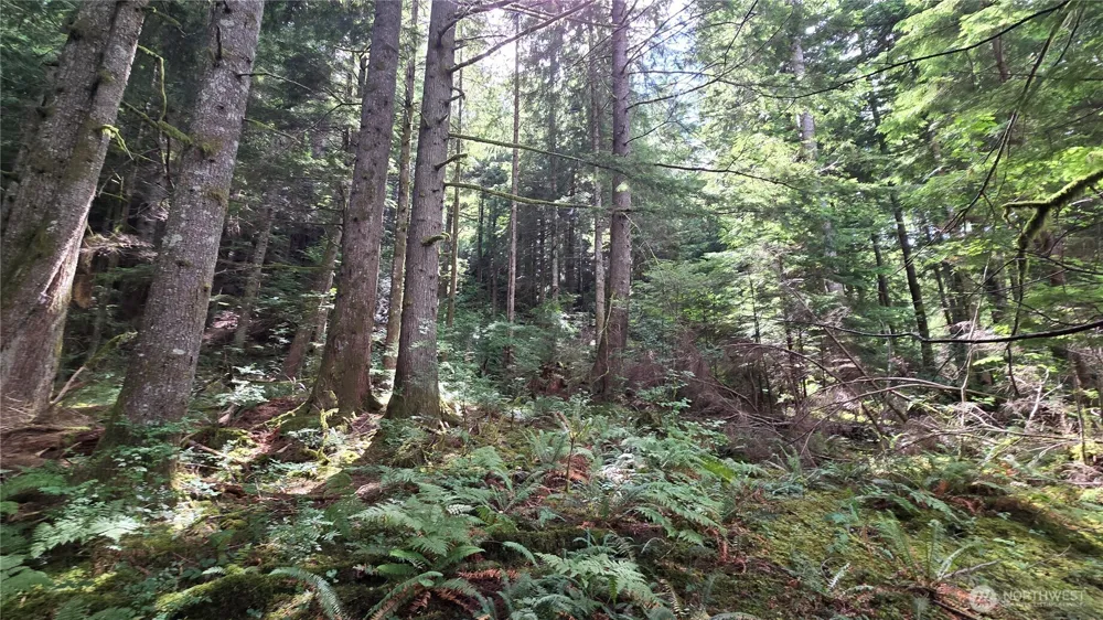 33317 SE Kent Kangley Road Ravensdale, WA 98051