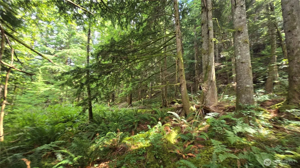 33317 SE Kent Kangley Road Ravensdale, WA 98051