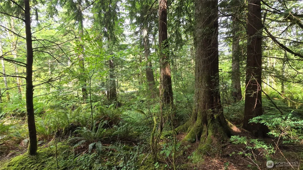 33317 SE Kent Kangley Road Ravensdale, WA 98051