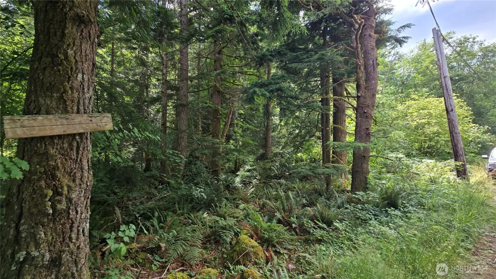 33317 SE Kent Kangley Road Ravensdale, WA 98051