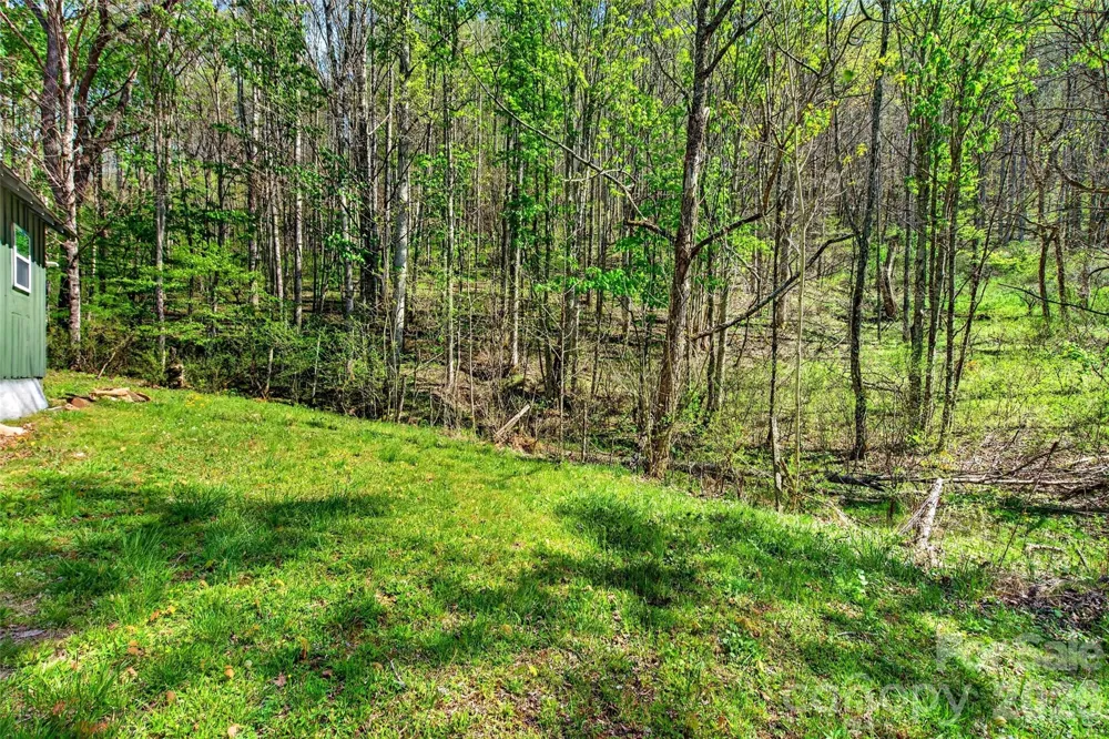 488 Cad Campbell Road Bakersville, NC 28705