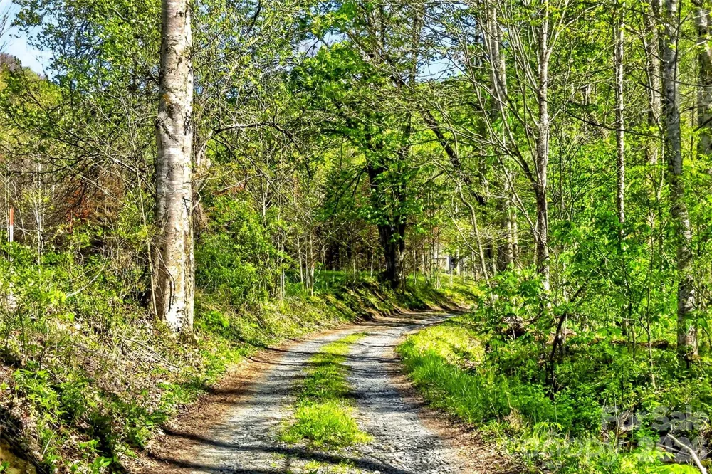 488 Cad Campbell Road Bakersville, NC 28705